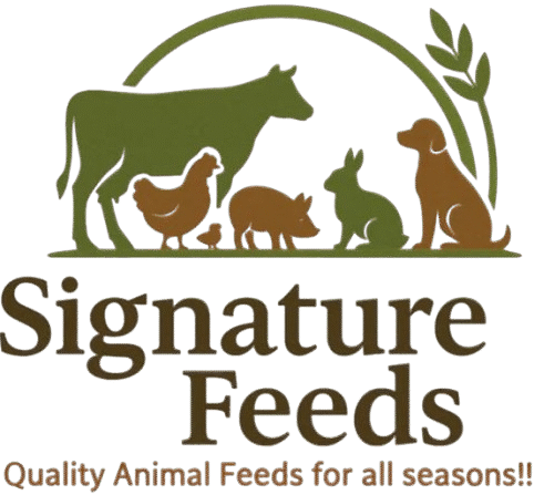 Trendy Animal Feeds